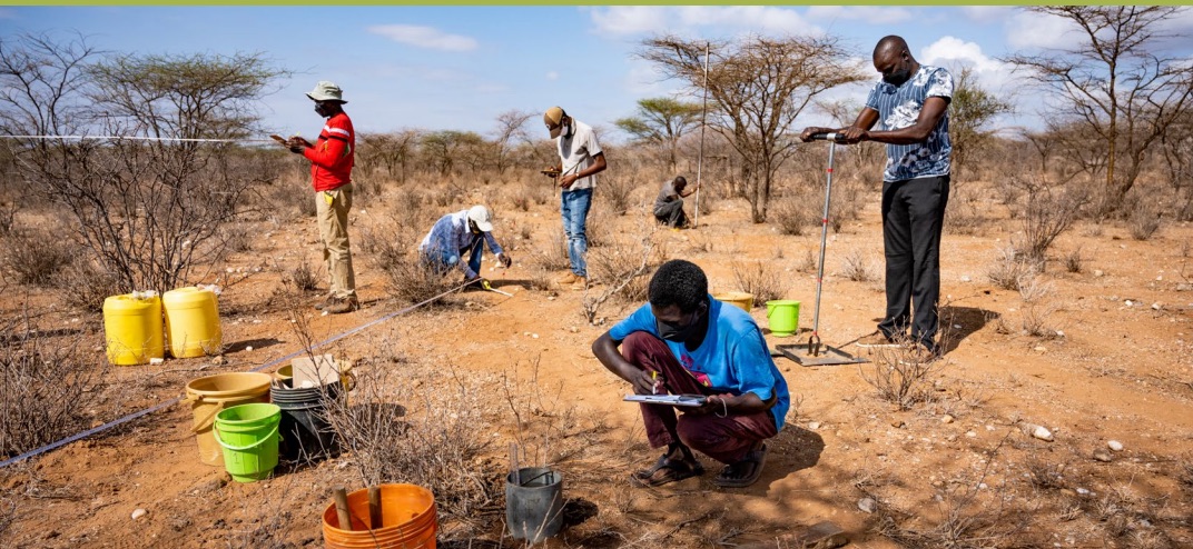 Field teams collecting samples