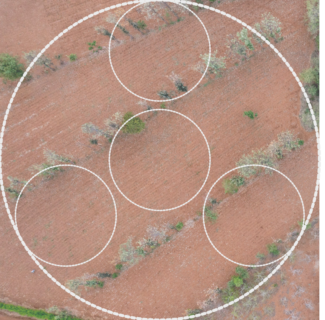 LDSF radial-arm plot layout