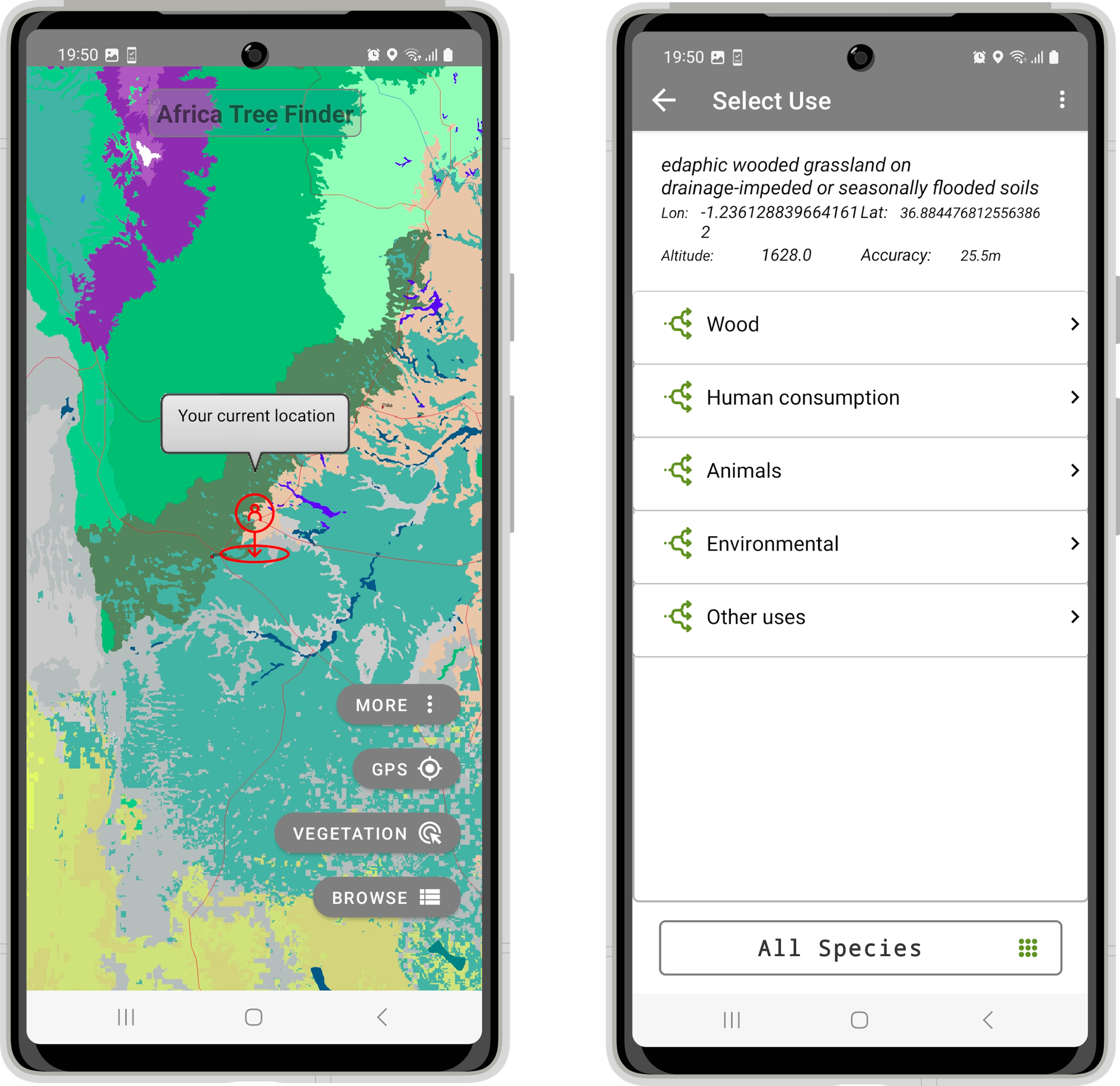 Tree suitability surface