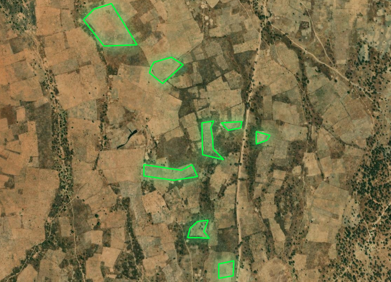 Spatial constraints and feasibility patterns across the landscape