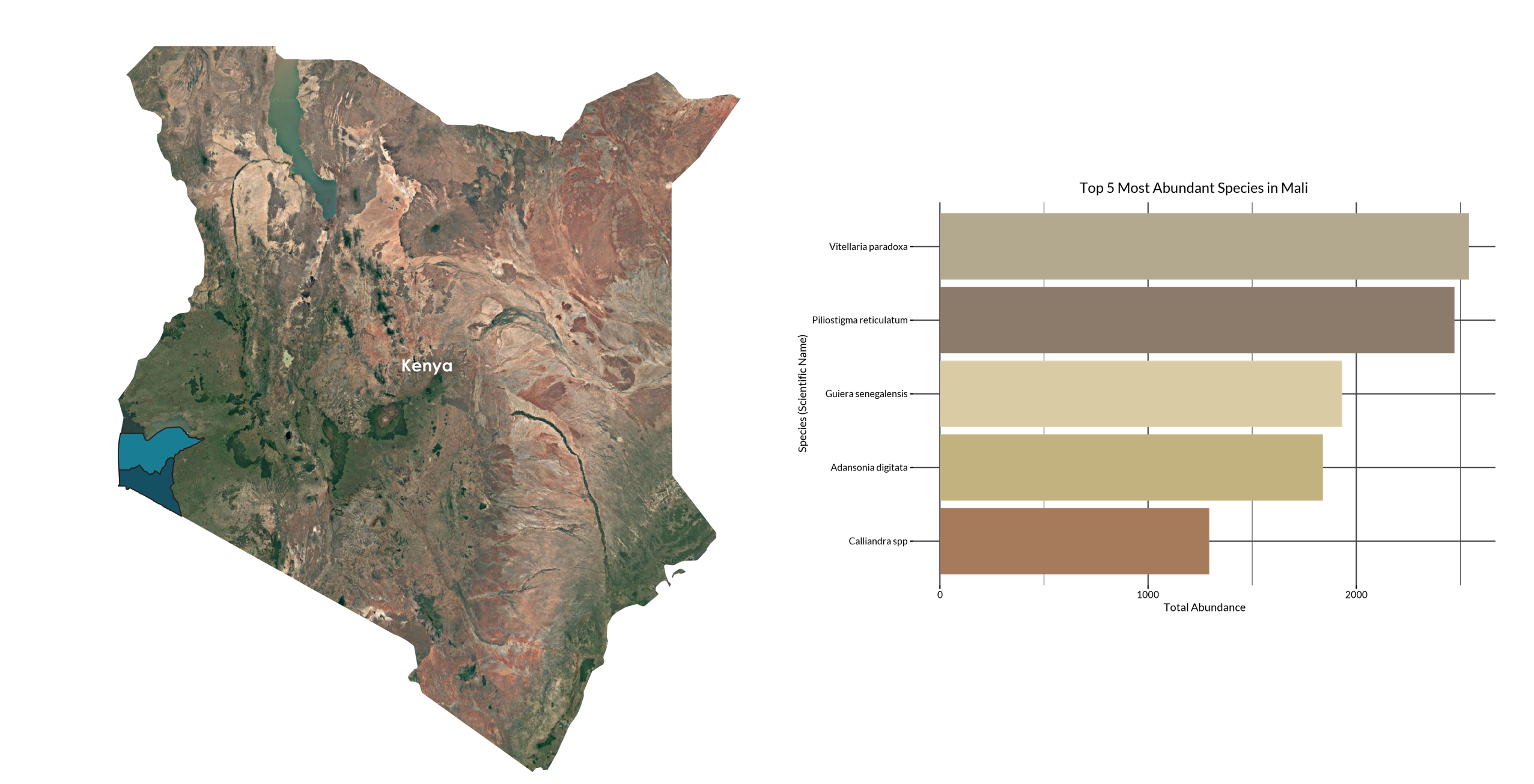 Spatial constraints and feasibility patterns across the landscape
