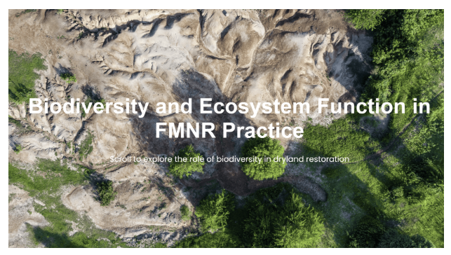 K4GGWA dashboards preview