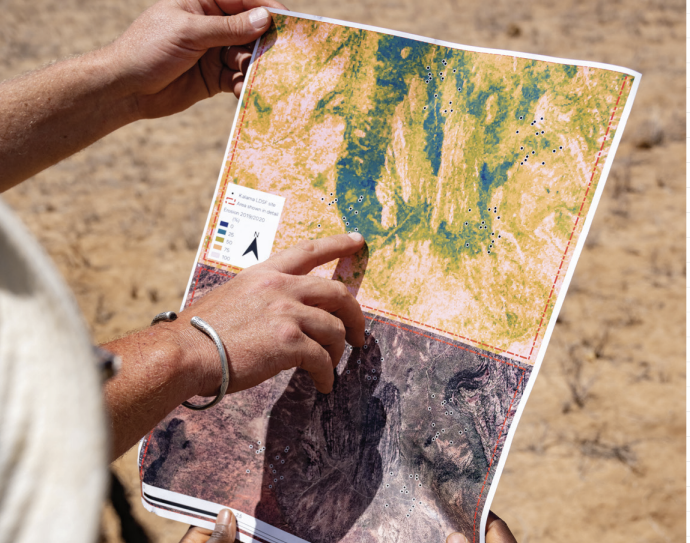 Landscape-scale spatial pattern map