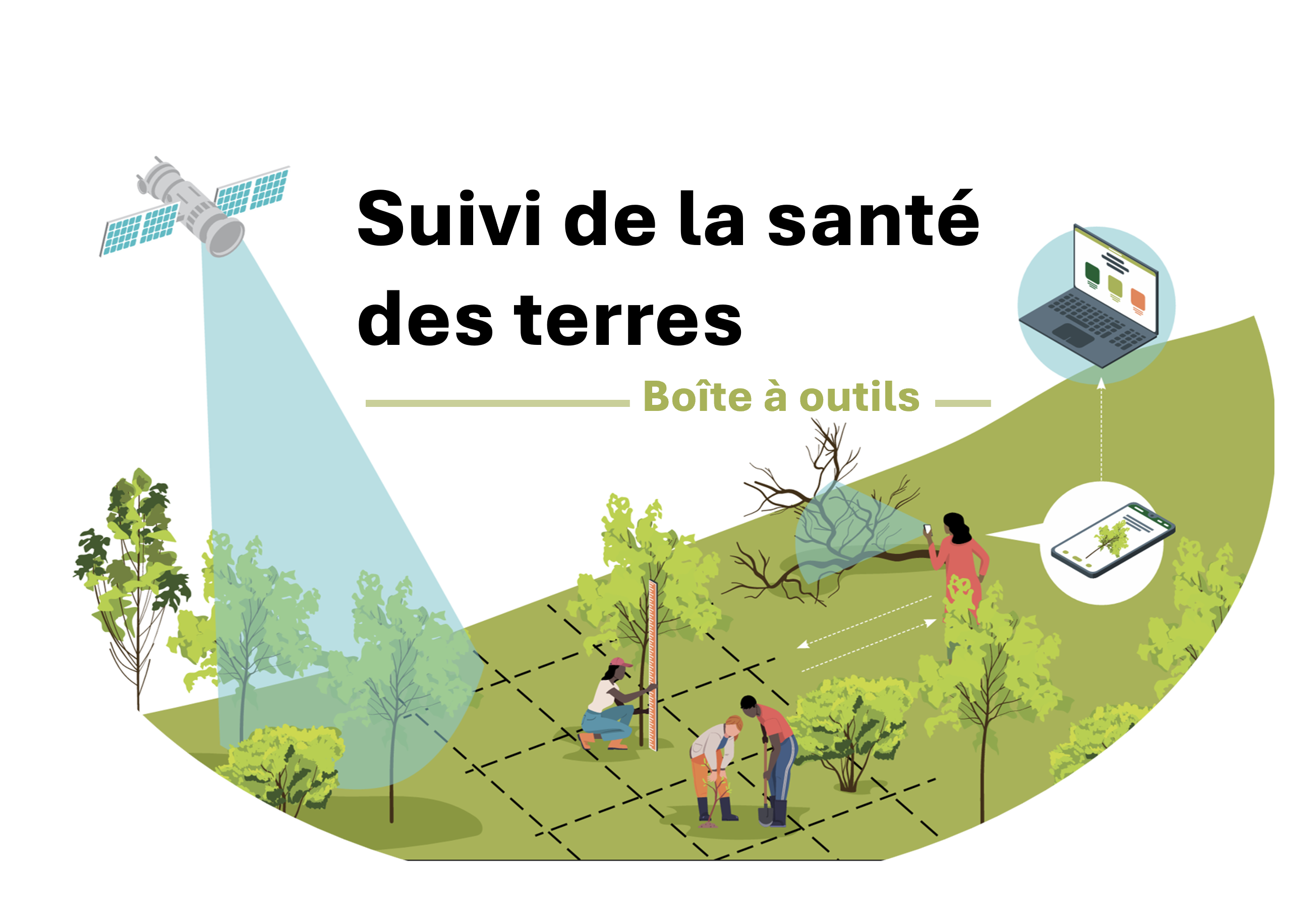 Cycle de décision en restauration : diagnostic, ciblage, conception, suivi et reporting