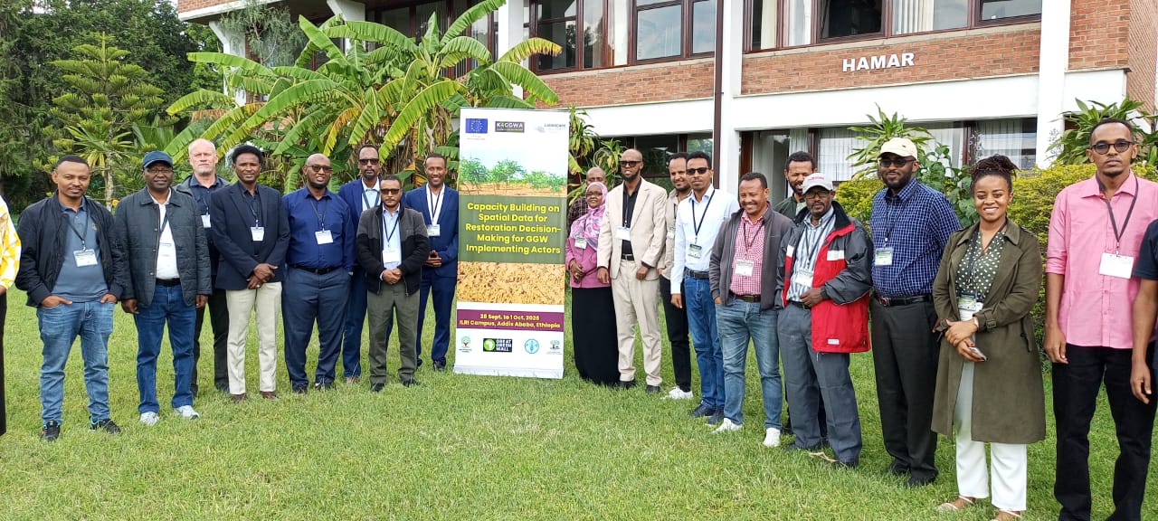 Participants and facilitators at the Ethiopia K4GGWA workshop