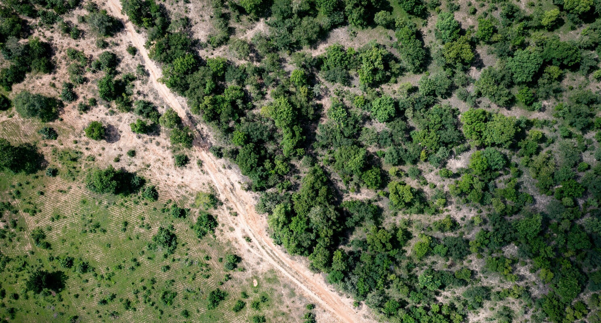 tc_landscape
