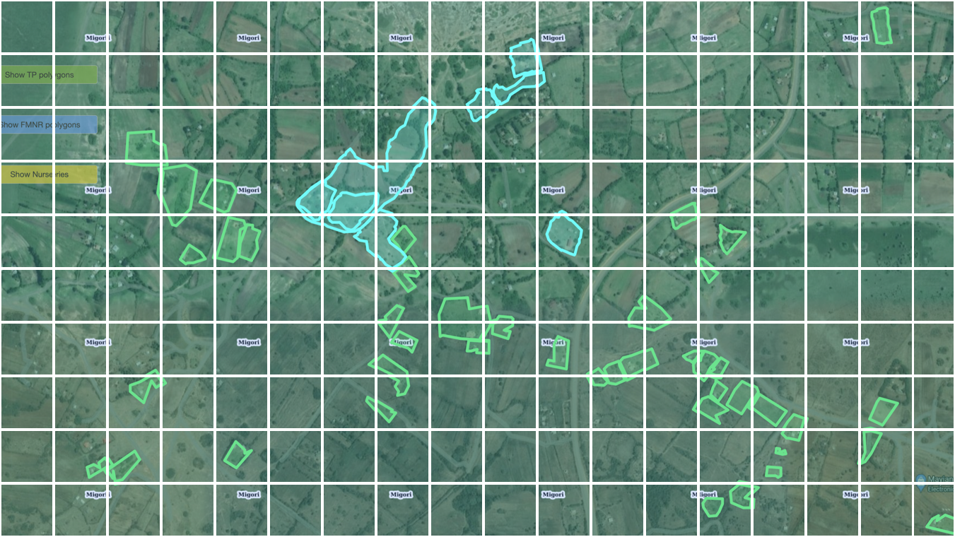 Coverageandscalability