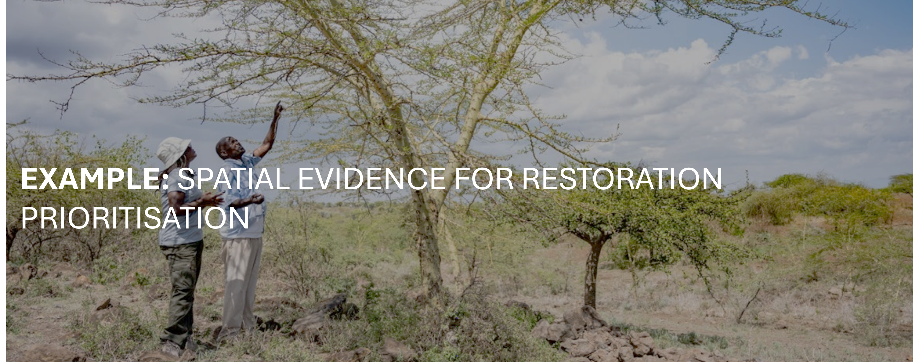 Simple prioritisation example banner