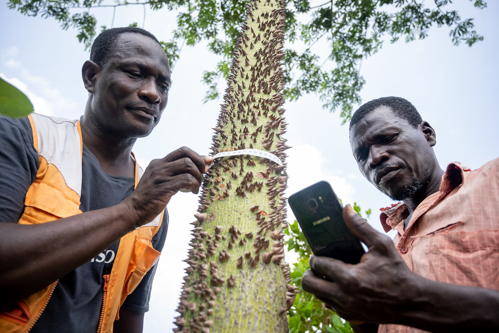 Field surveys and ecological monitoring