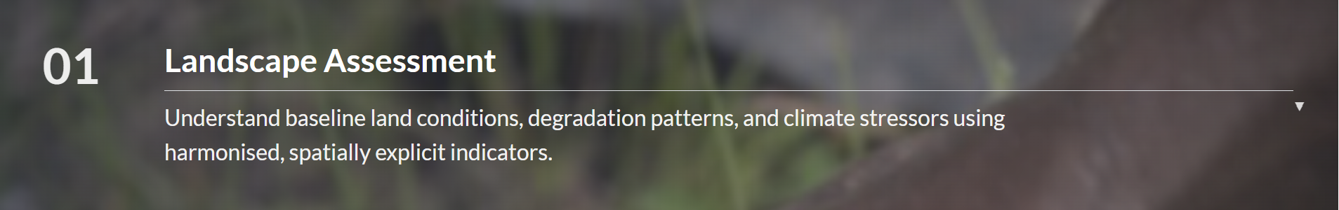 Landscape assessment banner