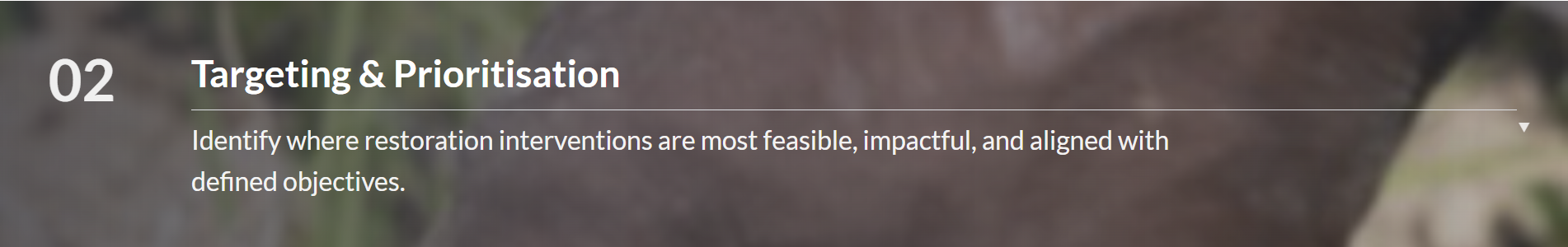 Targeting and prioritisation banner