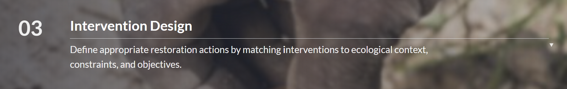 Intervention design banner