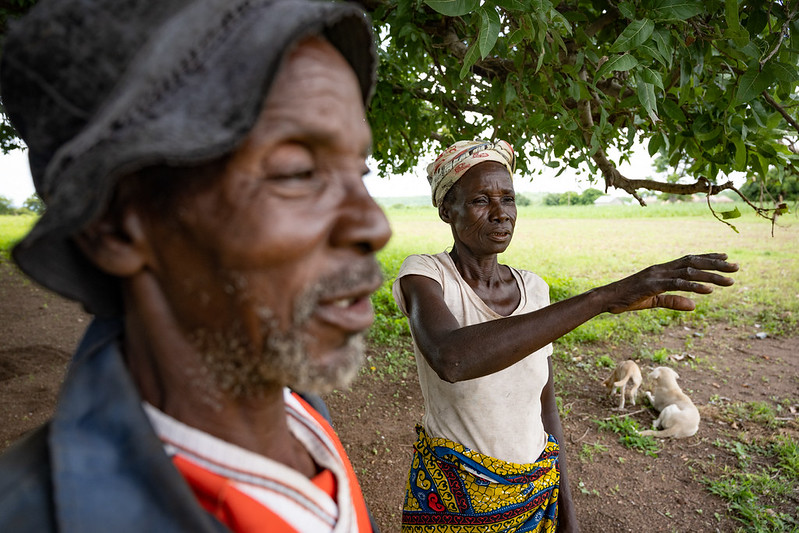 Experience, assumptions, practitioner and local knowledge